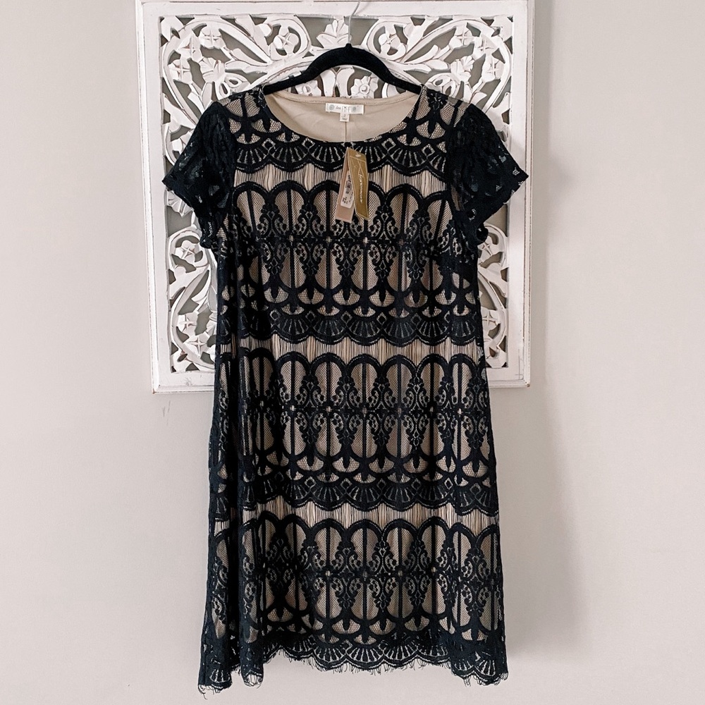 NWT Black Lace Mini Dress